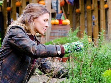 Frau pflanzt Pflanzen im Garten | © Getty Images/Rossella De Berti