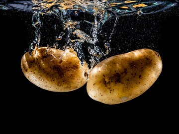 zwei Kartoffeln in sprudelndem Wasser vor schwarzem Hintergrund | © AdobeStock/magann