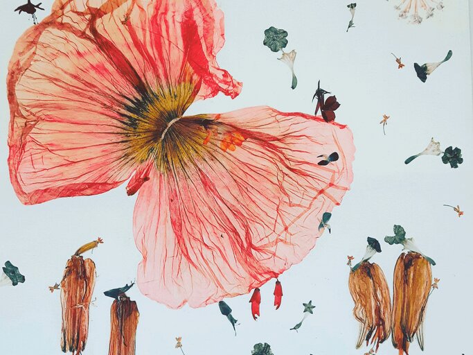 Detailreiche Komposition aus gepresster Mohnblüte und botanischen Fundstücken auf hellem Hintergrund, kunstvoll arrangiert. | © Atelier Seidenmatt
