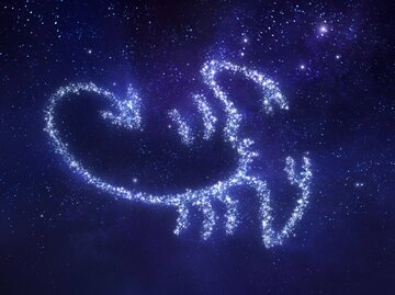 Bild Sternzeichen Skorpion | © Getty Images/da-kuk
