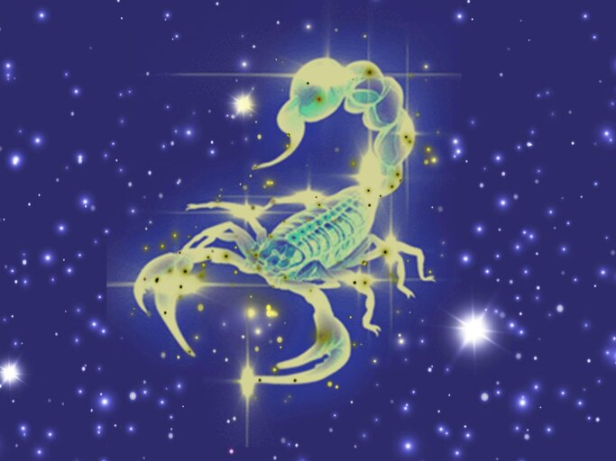 Illustration Sternzeichen Skorpion | © Getty Images/NBeauty