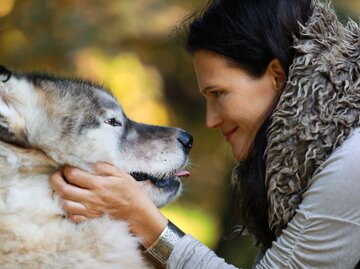 Porträt einer Frau mit einem Hund der Rasse Alaskan Malamute in einem Wald; Krafttier; Sternzeichen; Tierkreiszeichen | © Adobe Stock/Alexey Kuznetsov
