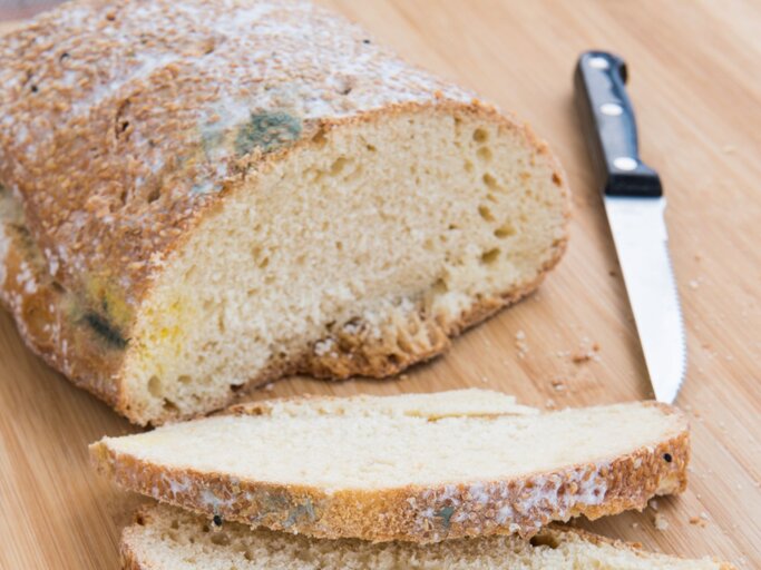 Aufgeschnittenes Brot mit Schimmel | © Getty Image/mpalis