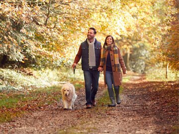 Paar spaziert im Herbst gemeinsam mit ihrem Hund durch den Wald | © Adobe Stock/Monkey Business