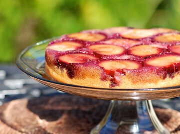 Ein Pflaumenkuchen auf einem gläsernen Teller mit Garten im Hintergrund | © Getty Images/Ulga