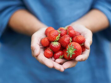 Frauenhände halten Erdbeeren. | © Getty Images / Dougal Waters