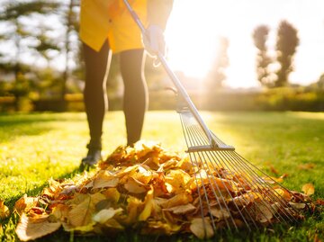 Frau beim Laubrechen im Garten  | © AdobeStock/Maxbelchenko