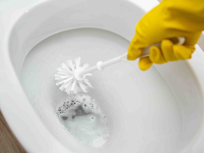 Nahaufnahme wie eine Hand mit Putzhandschuh eine Toilette reinigt | © Adobe Stock/Artem Zakharov
