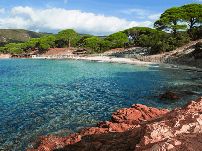 Der Plage de Palombaggia auf Korsika. | © FRANZ ABERHAM GETTY IMAGES