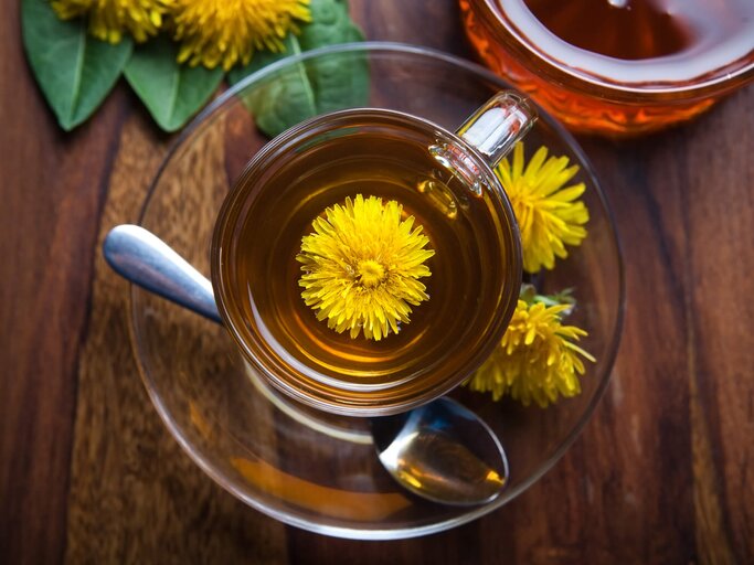 Eine Tasse frisch aufgebrühter Löwenzahntee | © gettyimages.de / manuel_adorf