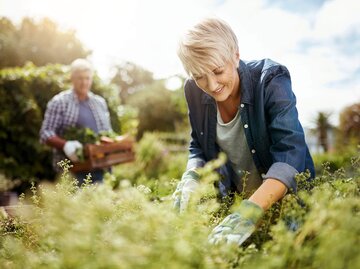 Ältere Frau arbeitet im Garten | © Getty Images | Tara Moore