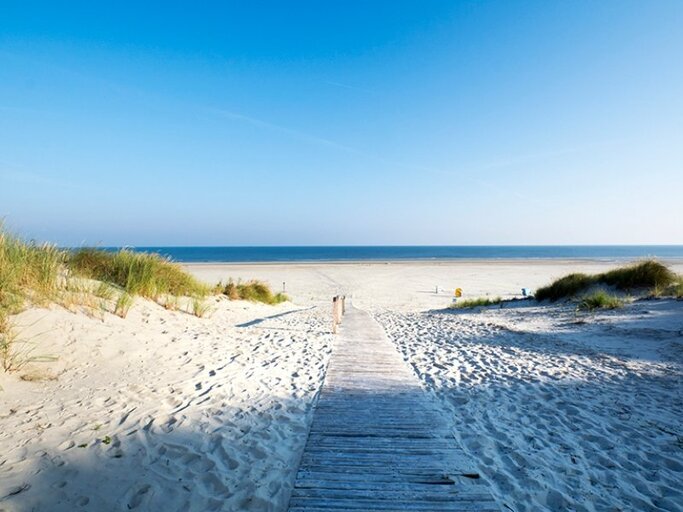 Nordseeinsel Juist | © Getty Images | WESTEND61 