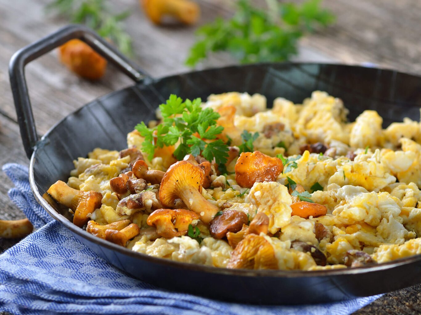 Pfifferlinge zubereiten: Tipps und Rezepte