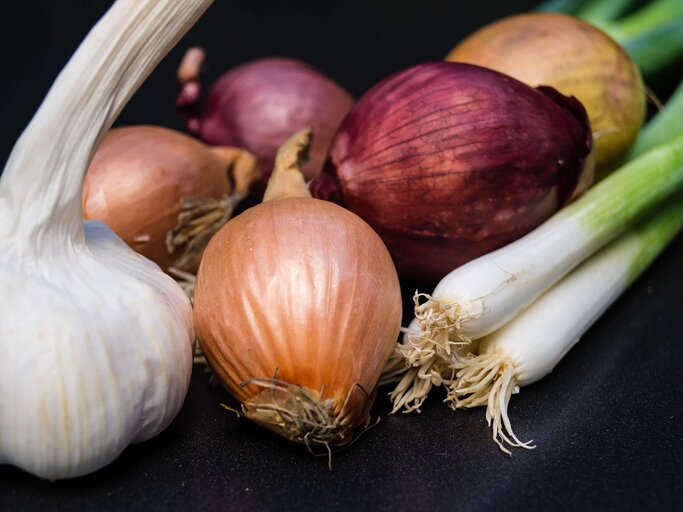 Zwiebeln | © iStock | Andreas Steidlinger