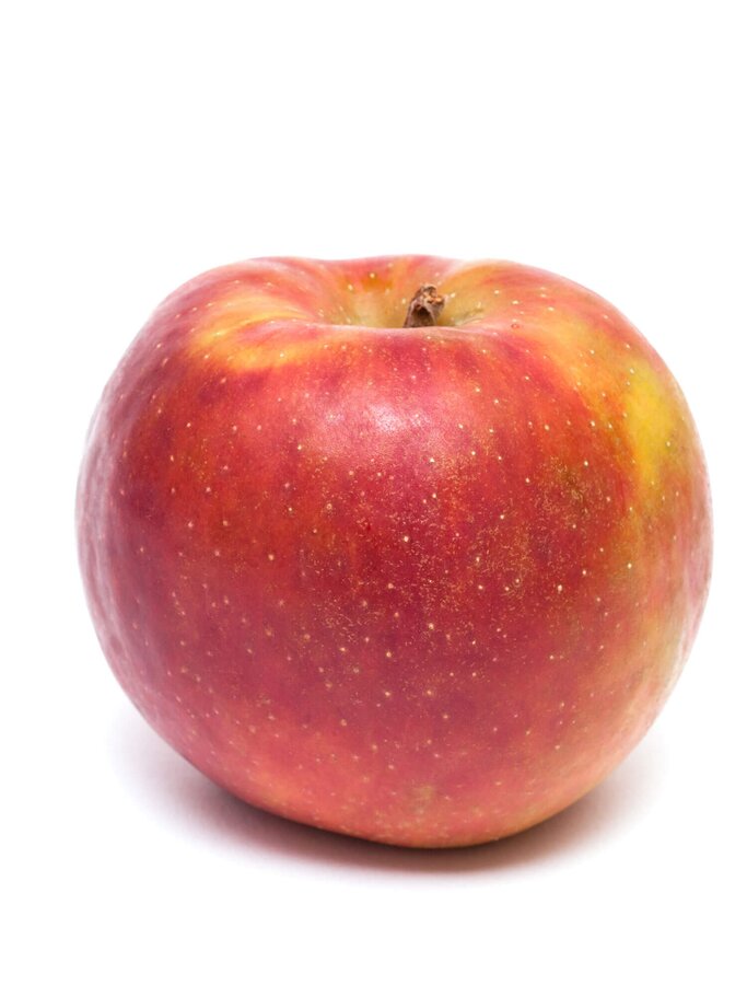 Apfel der Sorte Kaiser Wilhelm | © iStock | photohomepage
