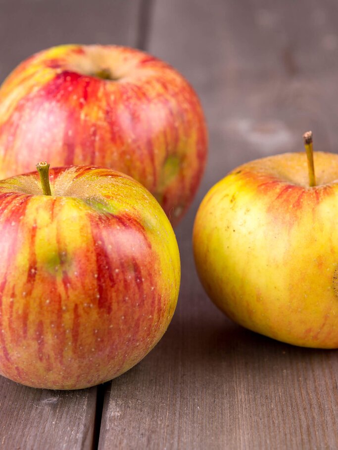 unvollkommene Äpfel der Sorte Goldparmäne | © iStock | w-ings