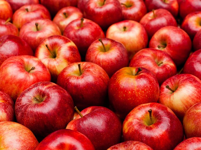 Nahaufnahme von roten Äpfeln "Royal Gala" | © iStock | aluxum