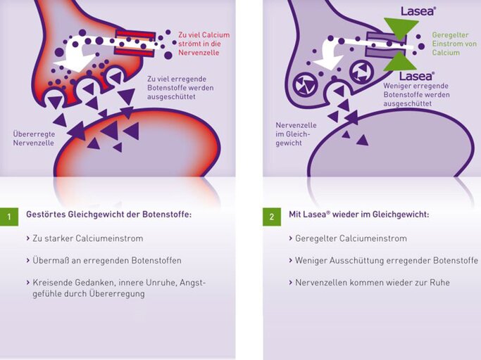 Mit Lasea wieder im Gleichgewicht! | © Dr. Willmar Schwabe GmbH & Co. KG