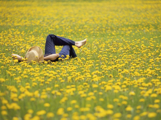 Frau liegt in der Blumenwiese | © GettyImages/Jake Wyman