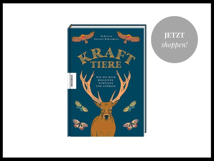 Buch: "Krafttiere: Wie sie dich begleiten, schützen und stärken" | © Amazon/Knesebeck